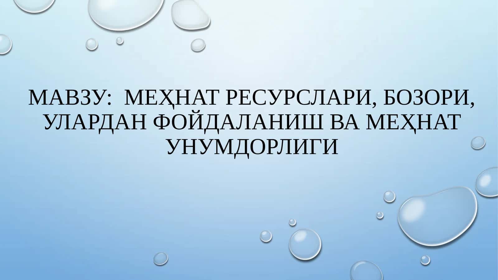 Меҳнат ресурслари, бозори, улардан фойдаланиш ва меҳнат унумдорлиги 1