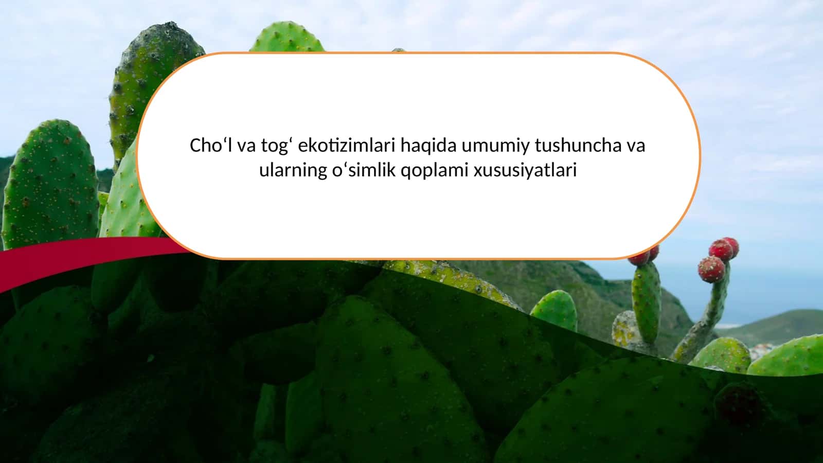 Cho‘l va tog‘ ekotizimlari haqida umumiy tushuncha va ularning o‘simlik qoplami xususiyatlari 1
