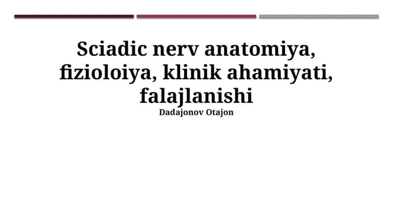 Siyatik Nerv 1