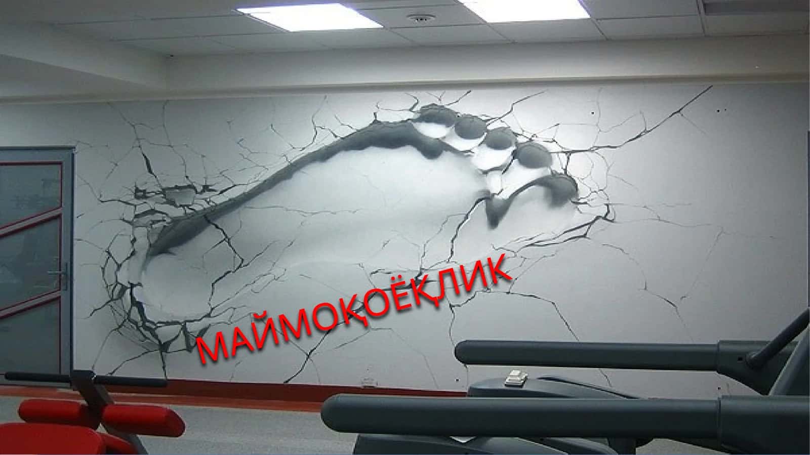 МАЙМОҚОЁҚЛИК 1