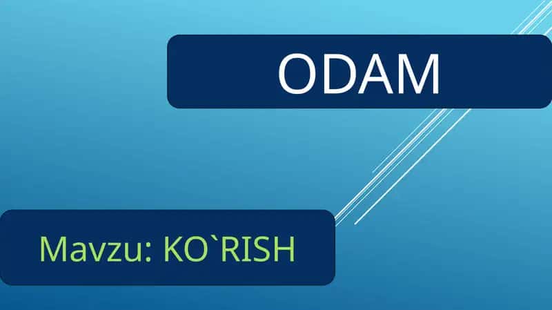 ODAM 1