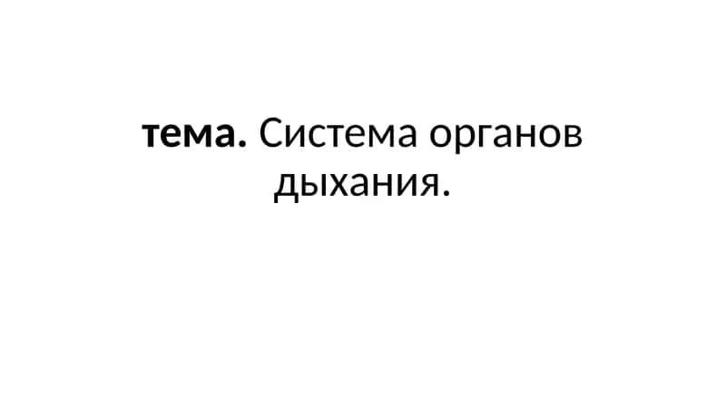 Система органов дыхания 1