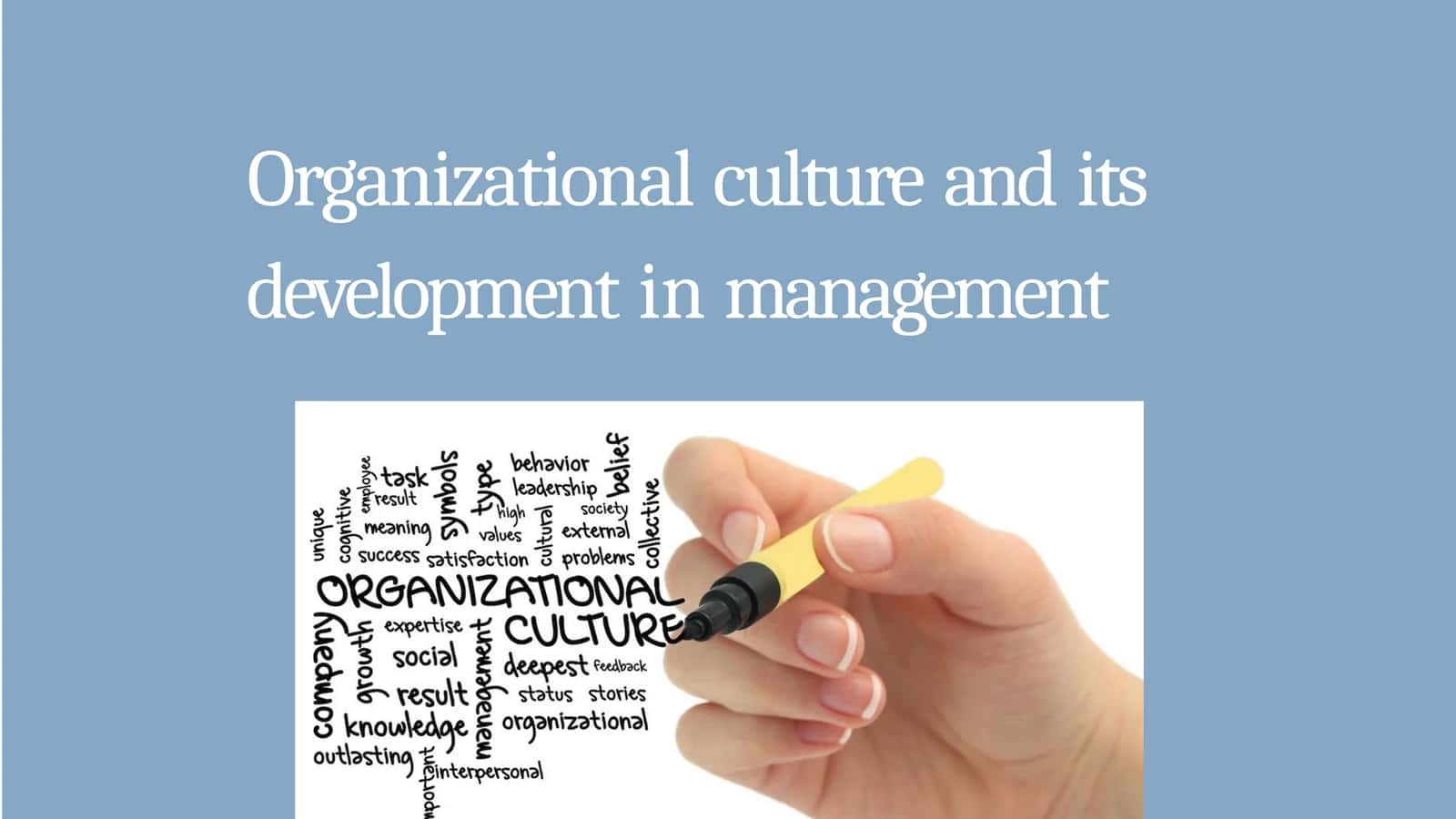 Organizational culture and its development in management 1