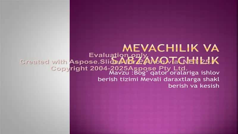 Mevachilik va Sabzavotchilik 1