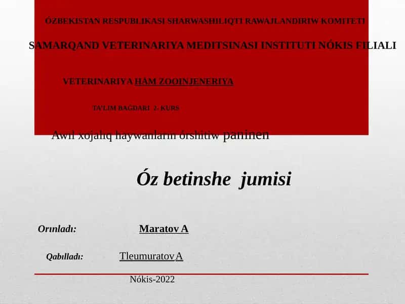 Nókis Filiali - Ta'lim Baǵdari 1