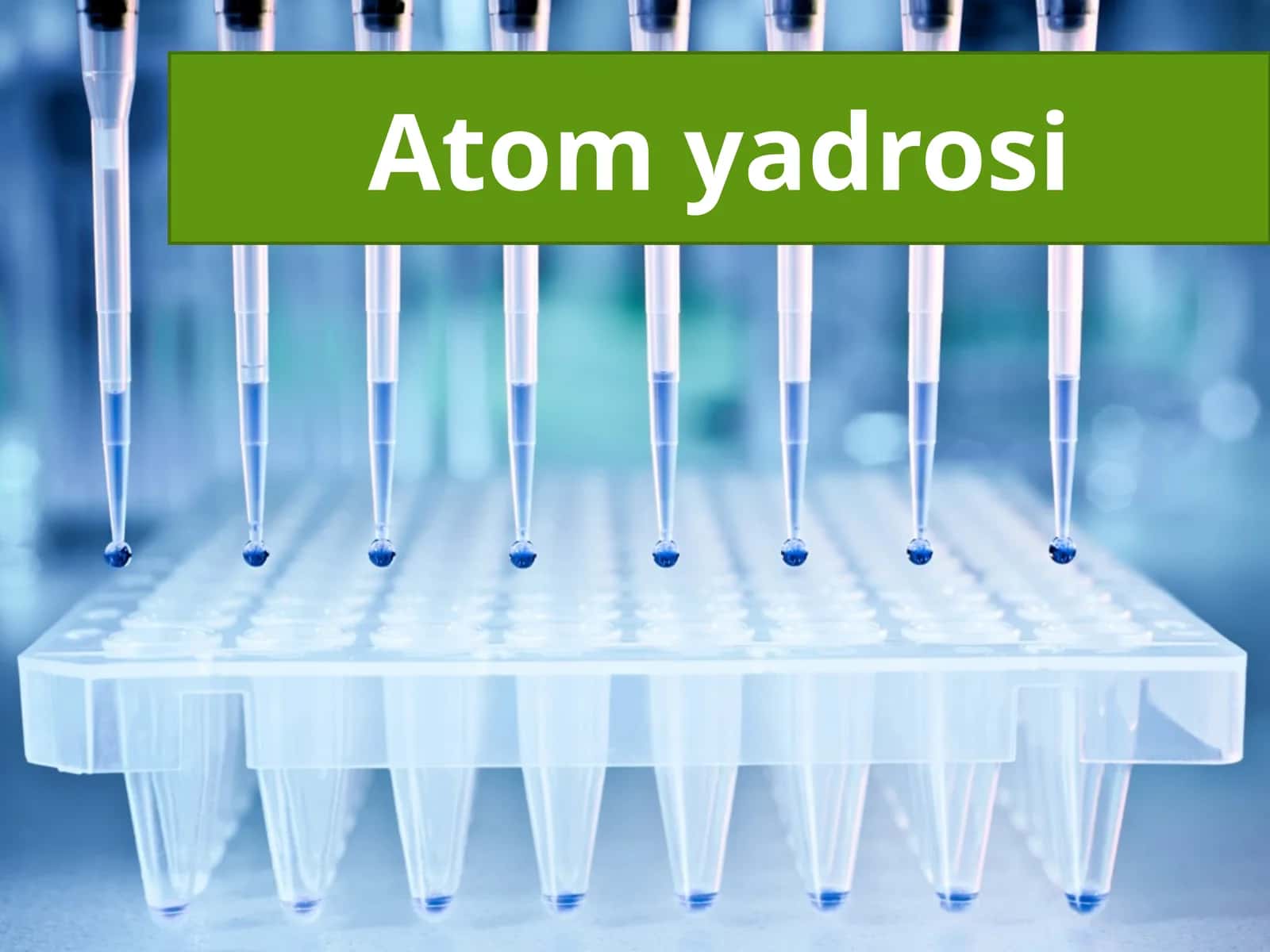 Atom yadrosi 1