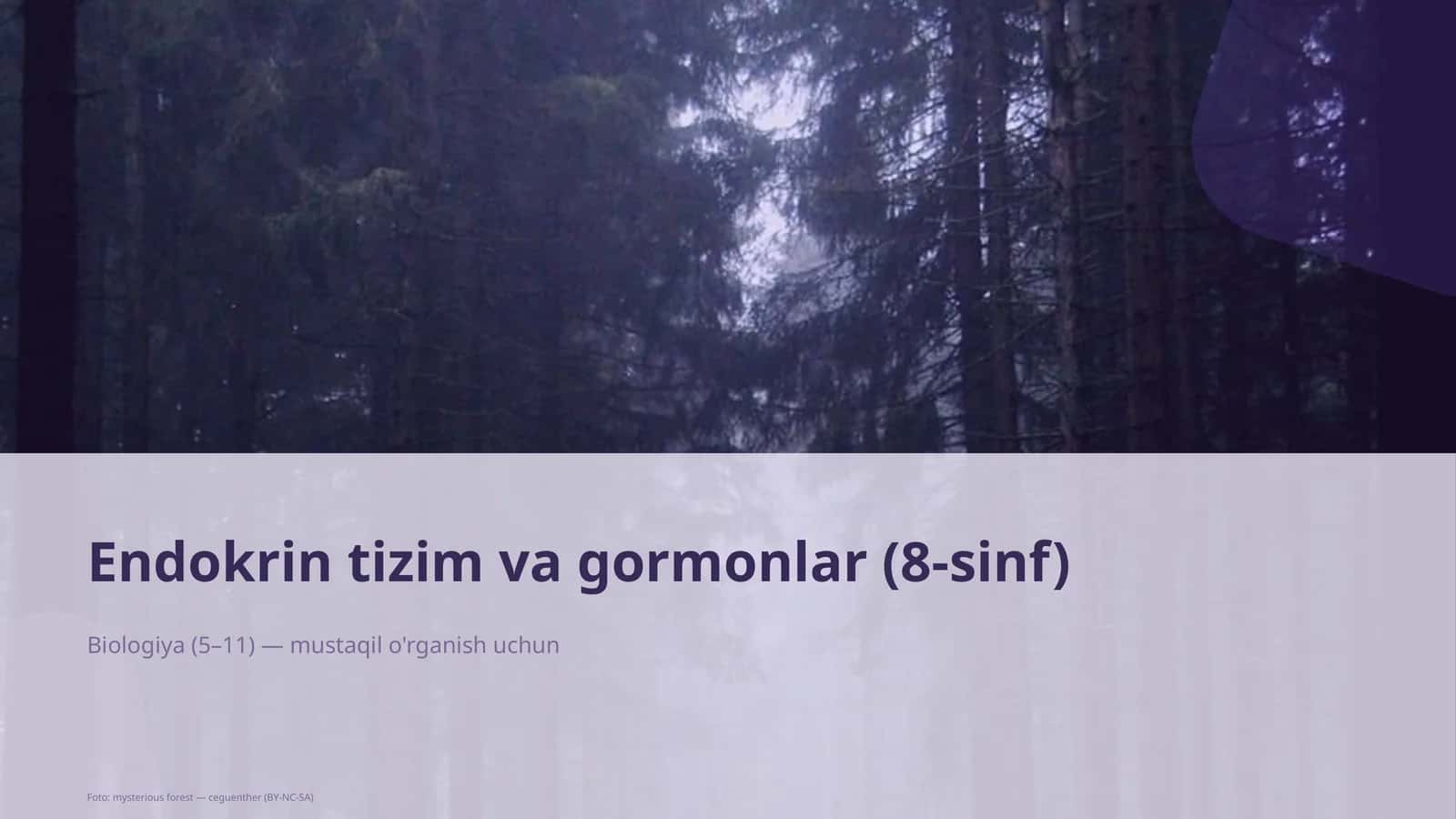 Endokrin tizim va gormonlar (8-sinf) 1
