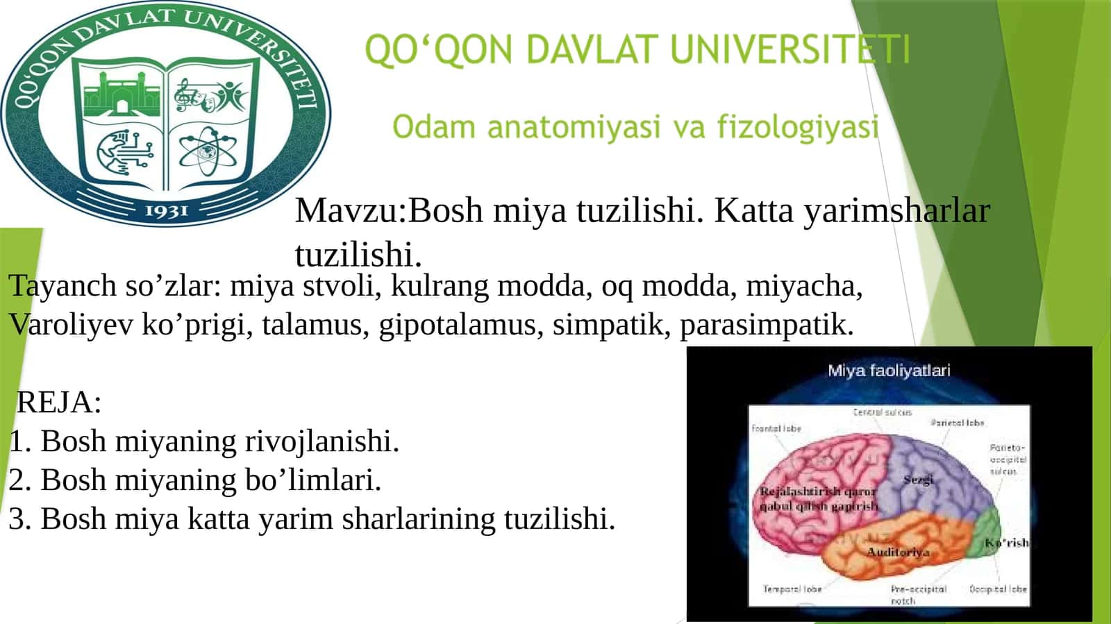 Bosh miya tuzilishi 1