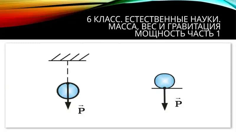 6 класс.Естественныенауки. Масса,весигравитациямощностьчасть 1 1