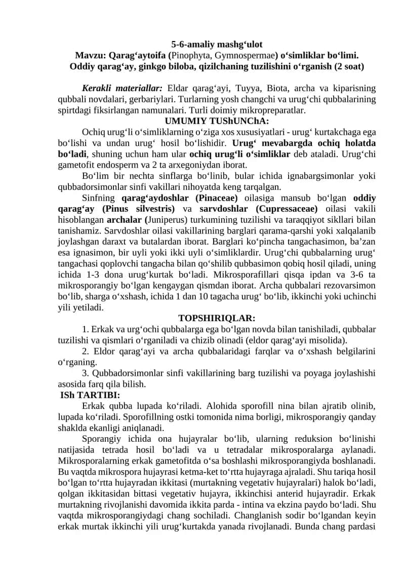 Qarag‘aytoifa (Pinophyta, Gymnospermae) o‘simliklar 1