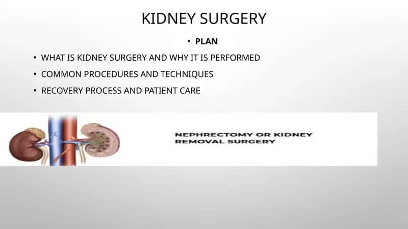 Kidney Surgery 1