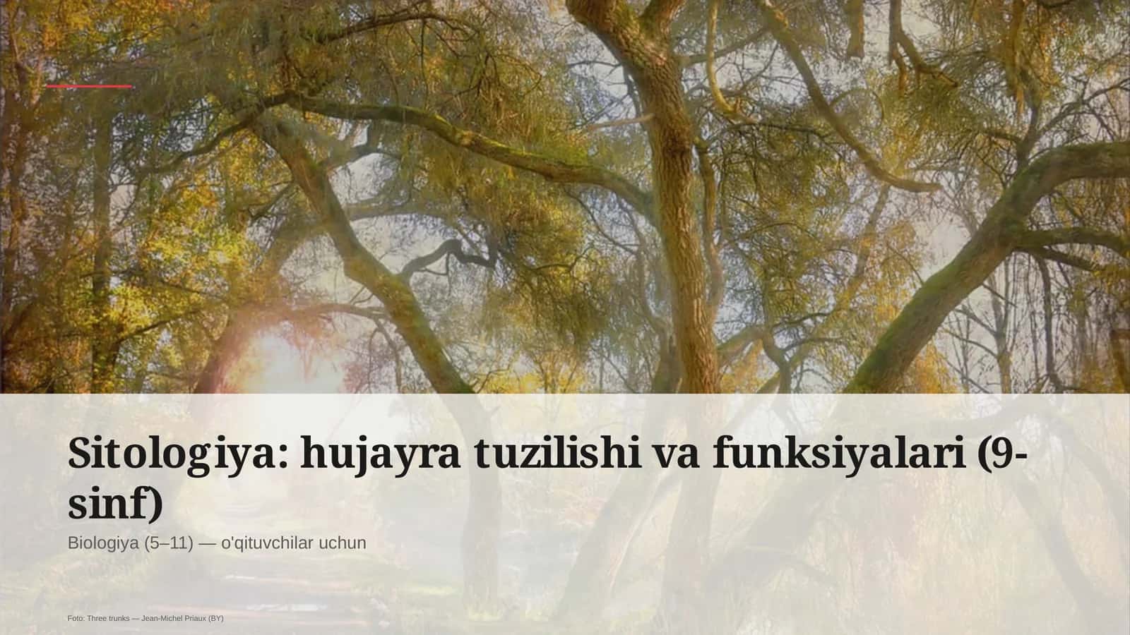 Sitologiya: hujayra tuzilishi va funksiyalari (9-sinf) 1