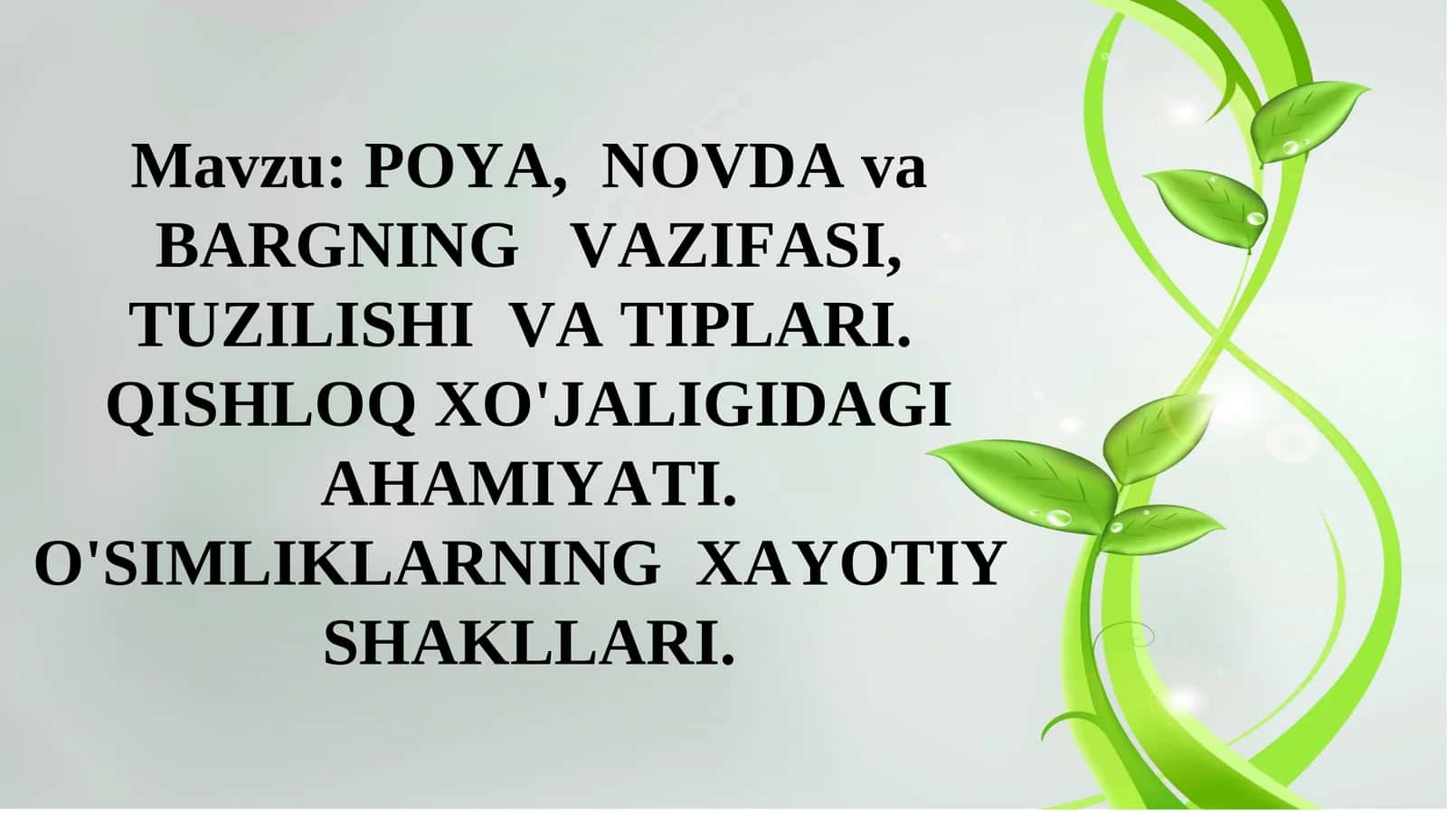 POYA, NOVDA va BARGNING VAZIFASI, TUZILISHI VA TIPLARI 1