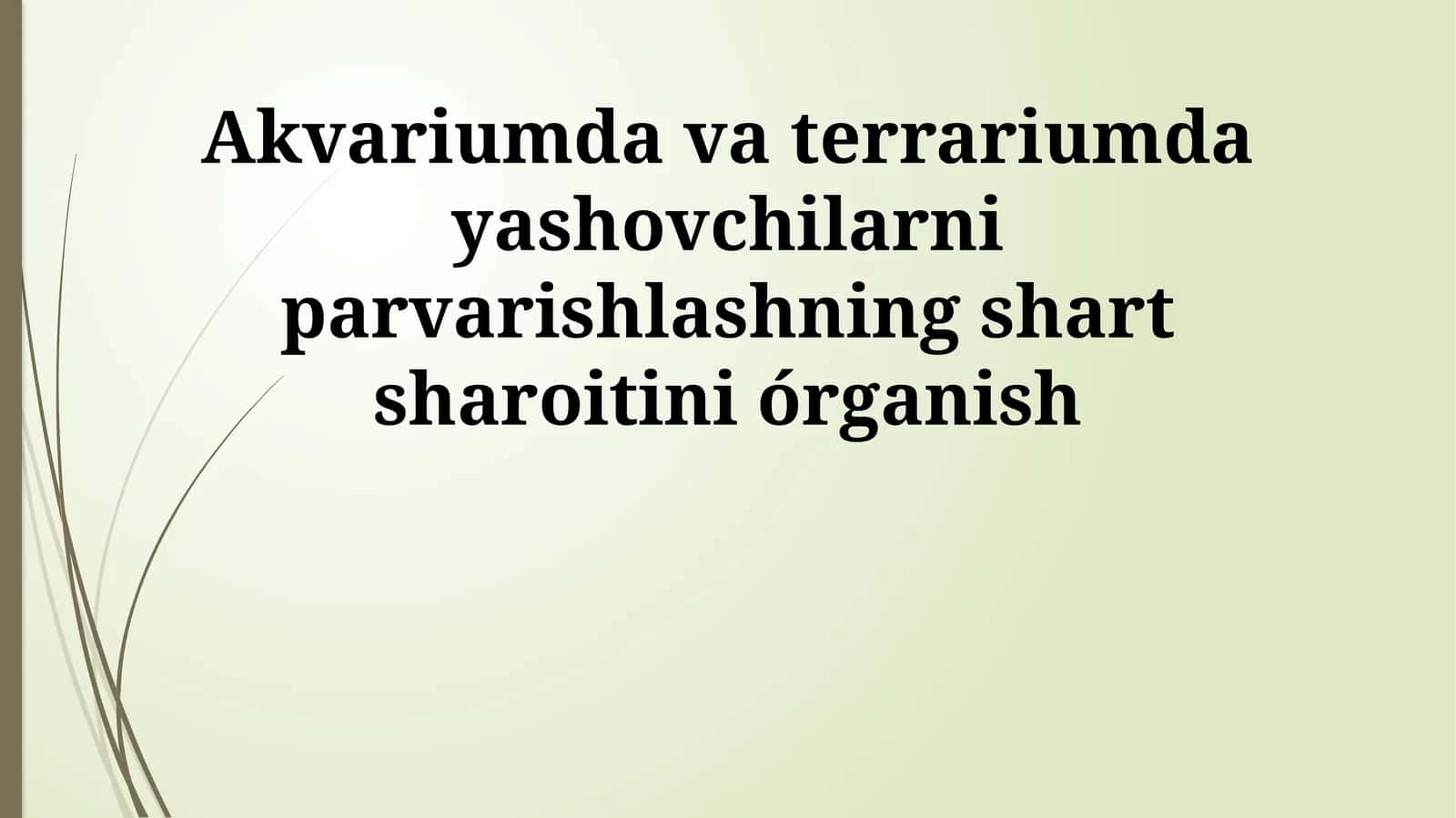 Akvariumda va terrariumda yashovchilarni parvarishlashning shart sharoitini órganish 1