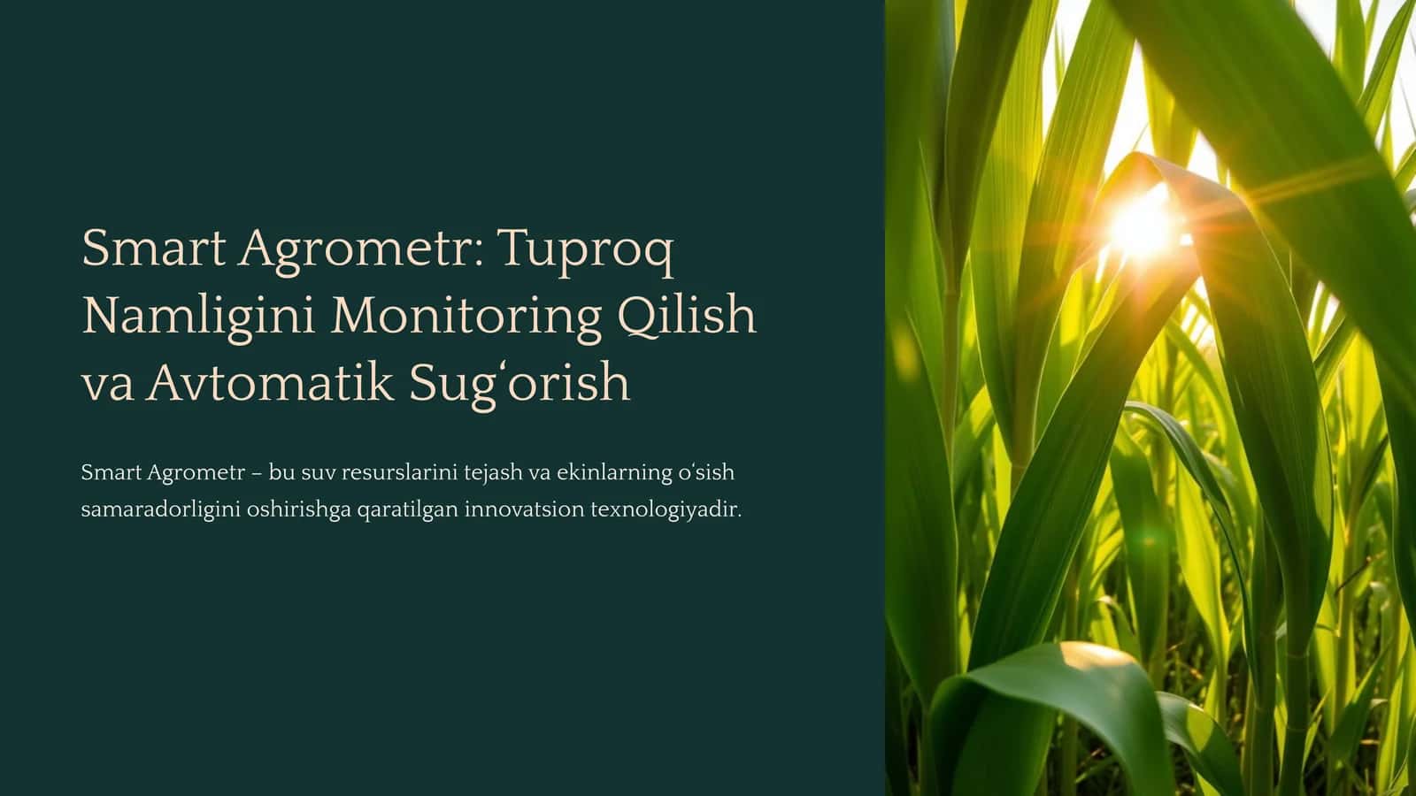 Smart Agrometr 1