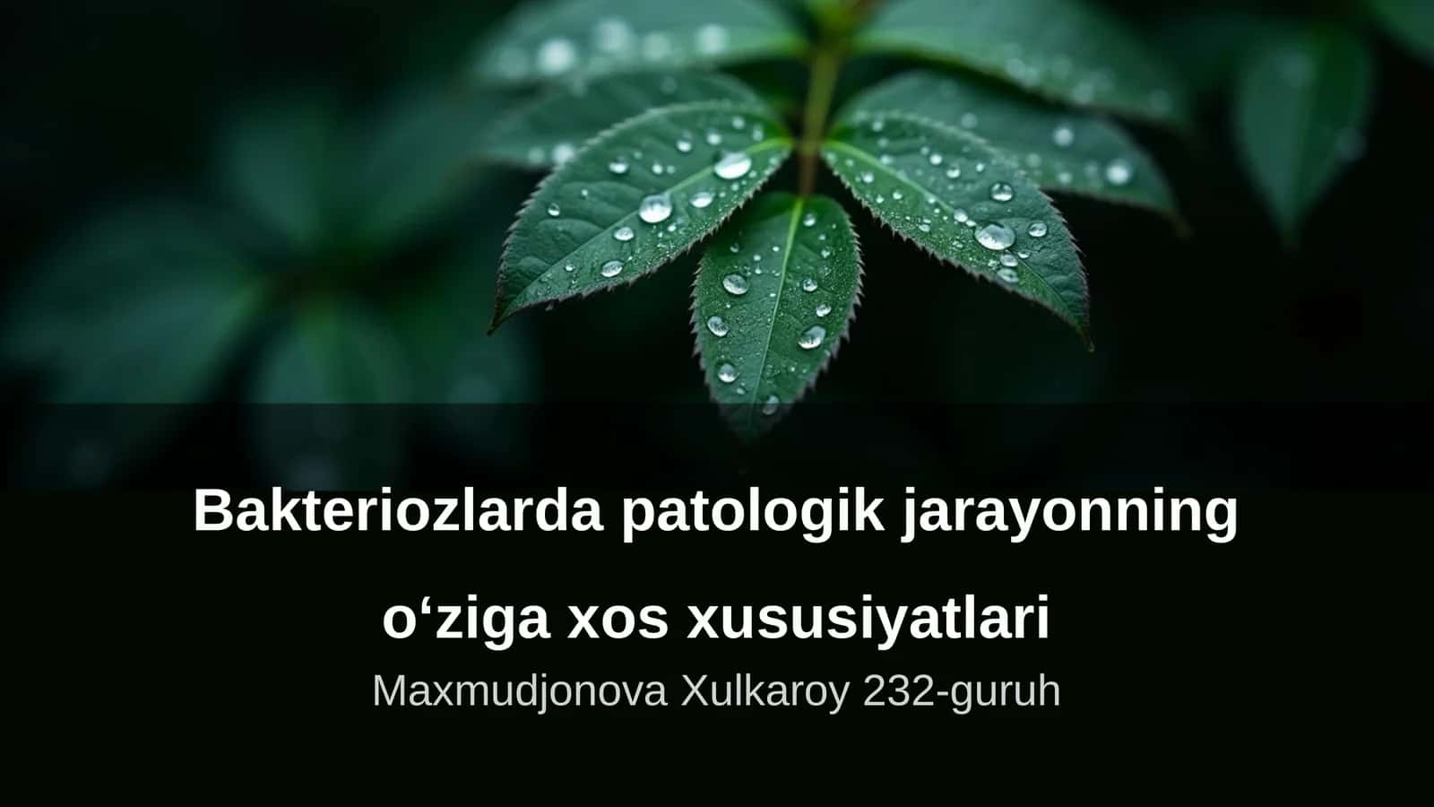 Bakteriozlarda patologik jarayonning o‘ziga xos xususiyatlari 1