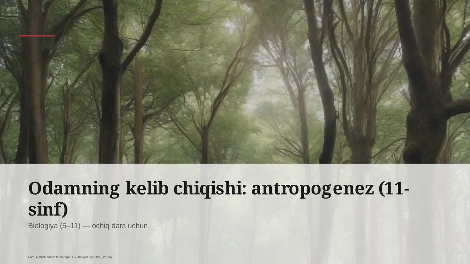 Odamning kelib chiqishi: antropogenez (11-sinf) 1