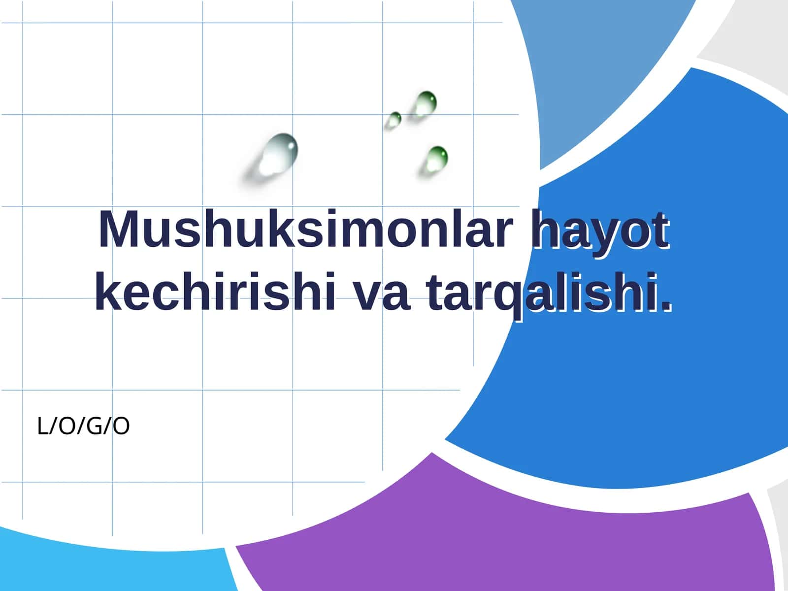 Mushuksimonlar hayot kechirishi va tarqalishi 1