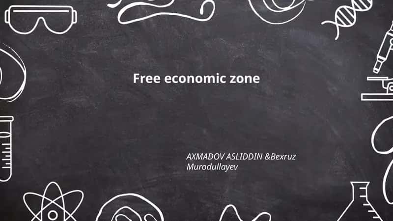 Free economic zone 1