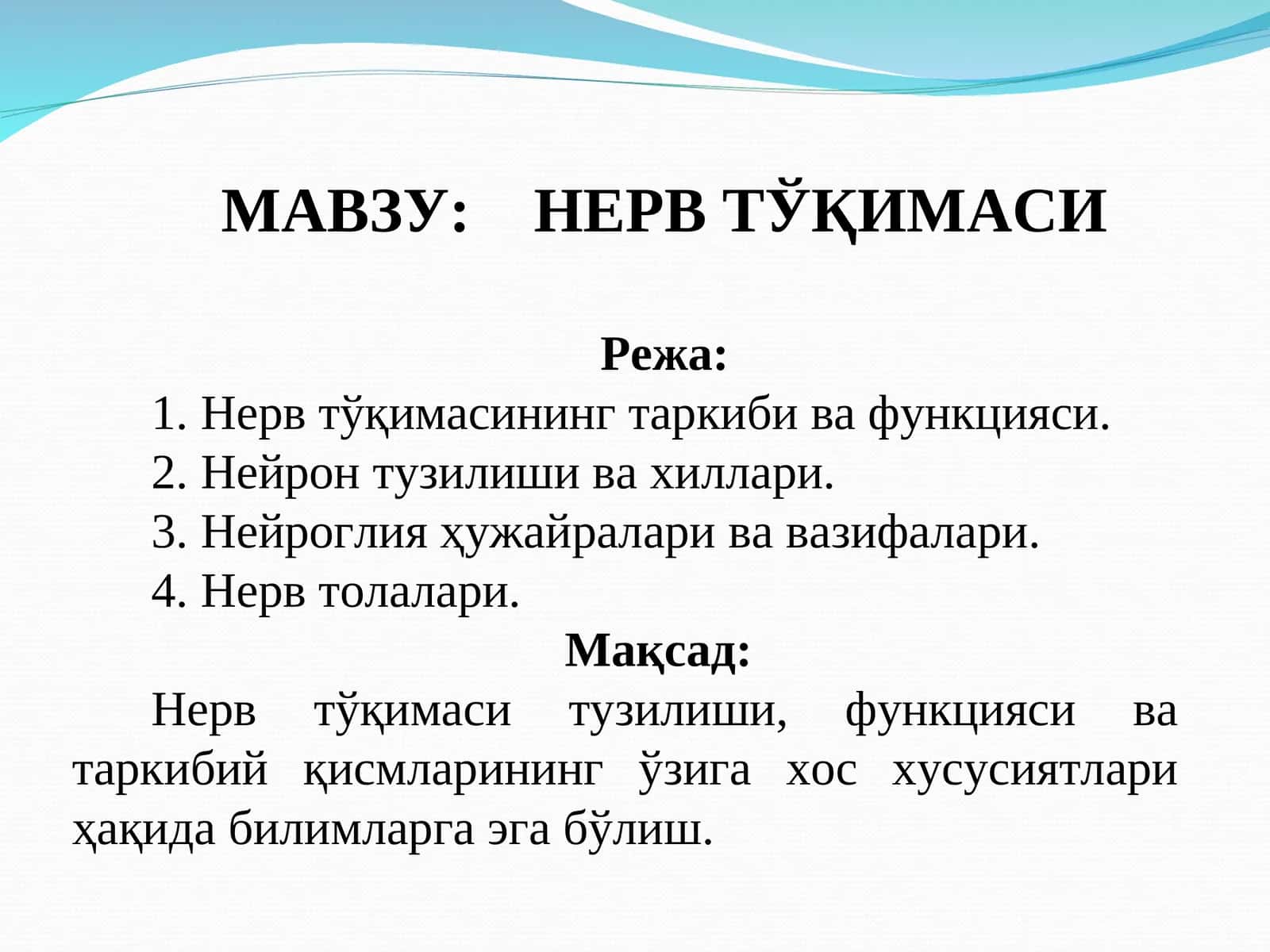 НЕРВ ТЎҚИМАСИ 1