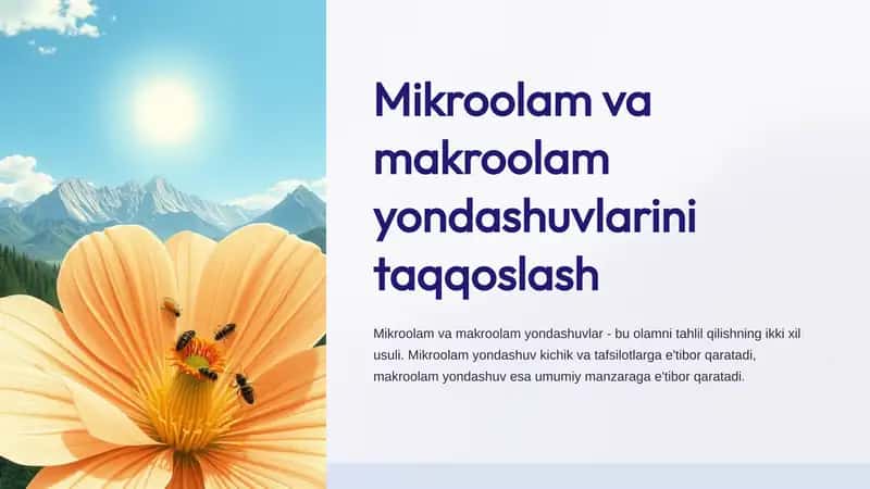 Mikroolam va makroolam yondashuvlarini taqqoslash 1