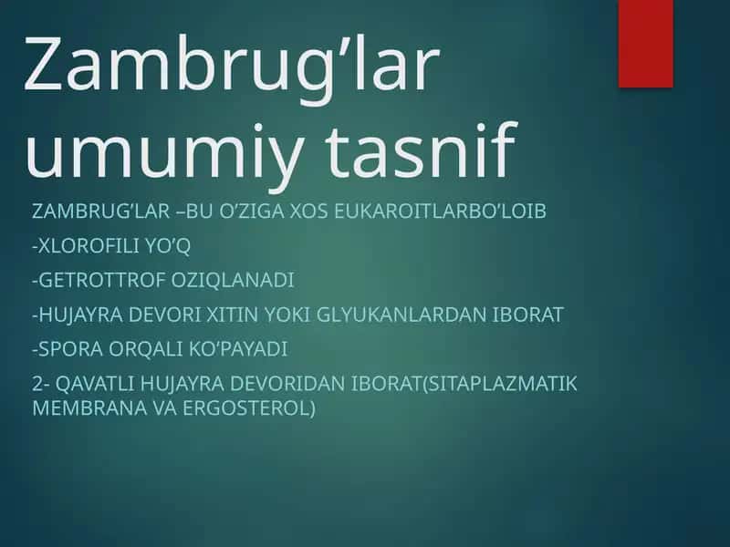Zambrug’lar umumiy tasnif 1