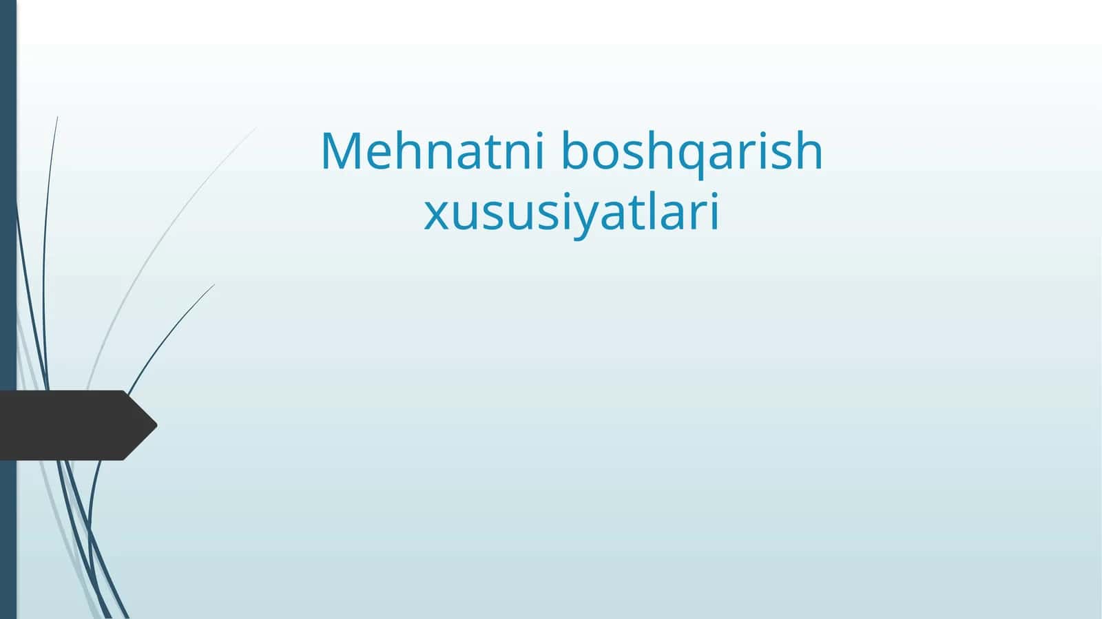 Mehnatni boshqarish xususiyatlari 1