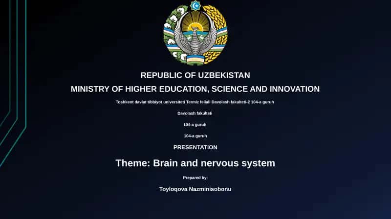 BRAIN AND NERVOUS SYSTEM 1