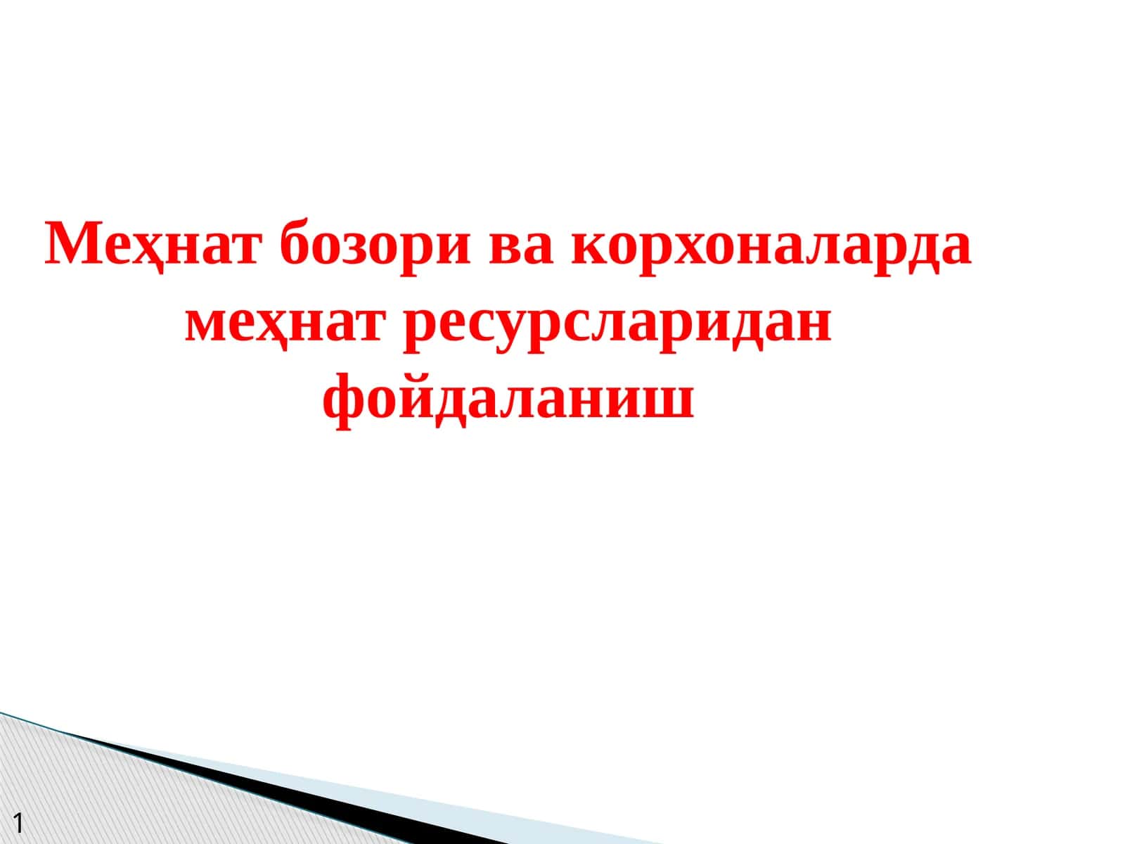 Меҳнат бозори ва корхоналарда меҳнат ресурсларидан фойдаланиш 1