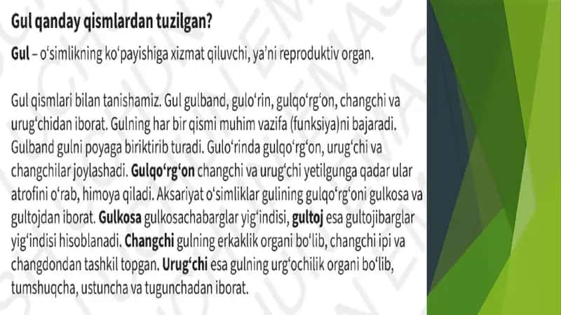 Topshiriqlar 1