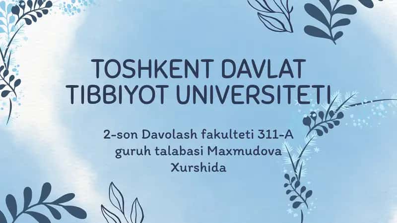 DINAMIK QATORLAR VA ULARNING O‘RGANILAYOTGAN HODISALARGA BAHO BERISHDAGI AHAMIYATI 1