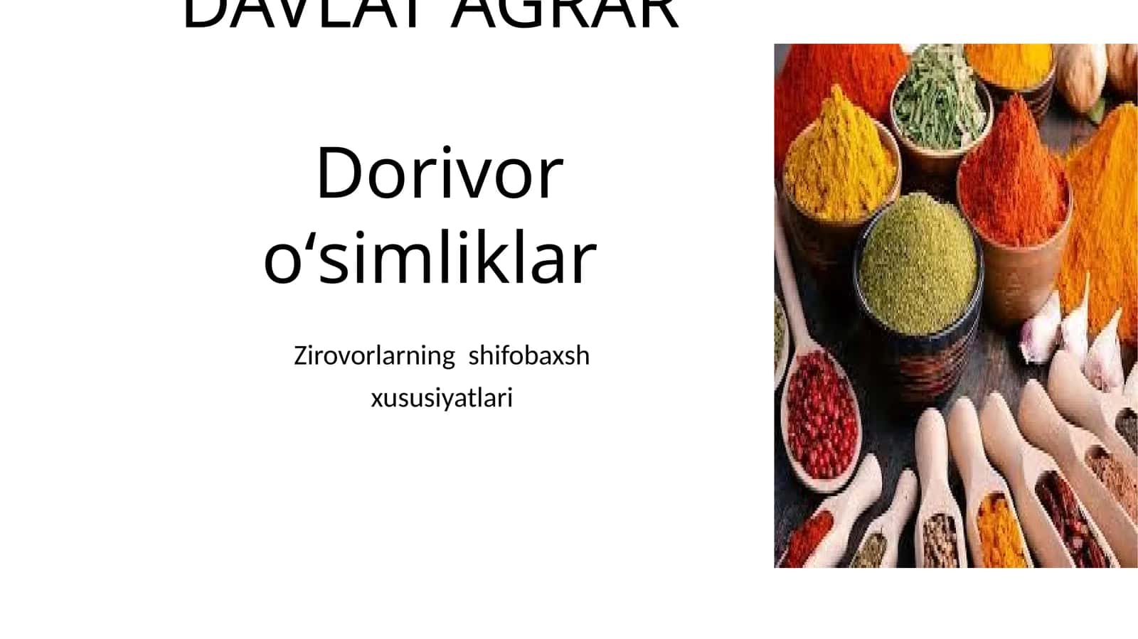 Ziravorlarning shifobaxshlik xususiyatlari 1