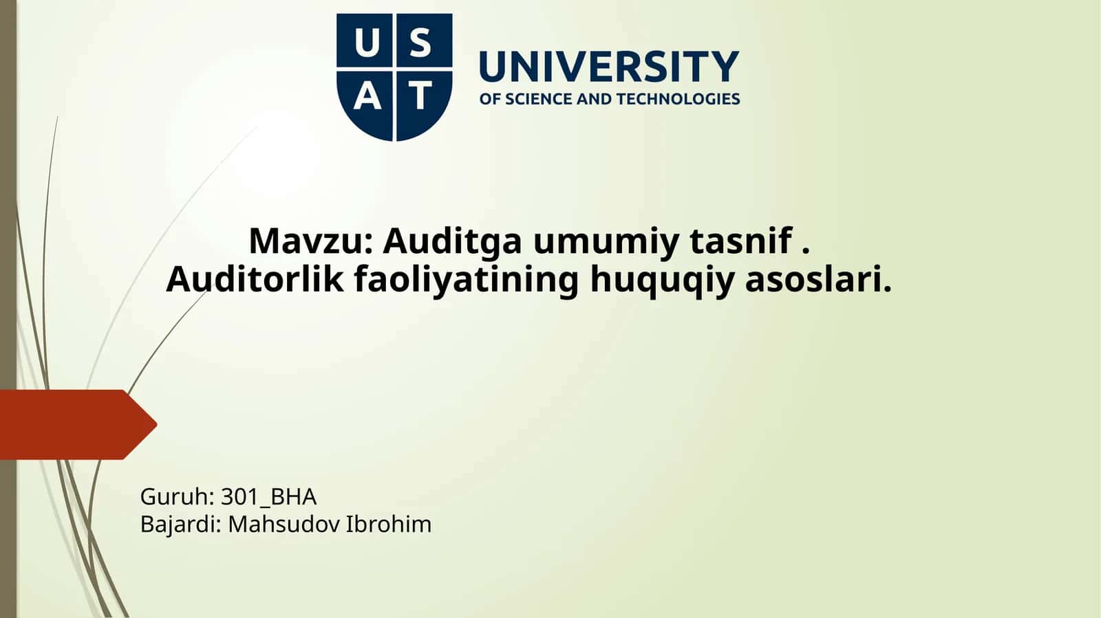 Audit faoliyati haqida 1