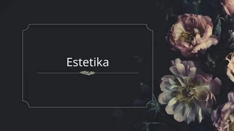 Estetika 1