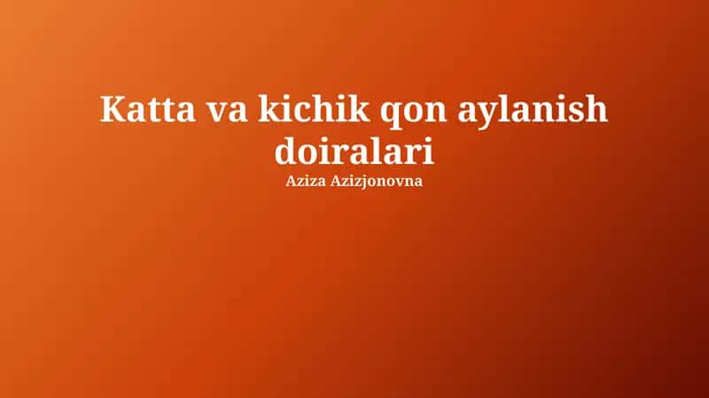 Katta va kichik qon aylanish doiralari 1