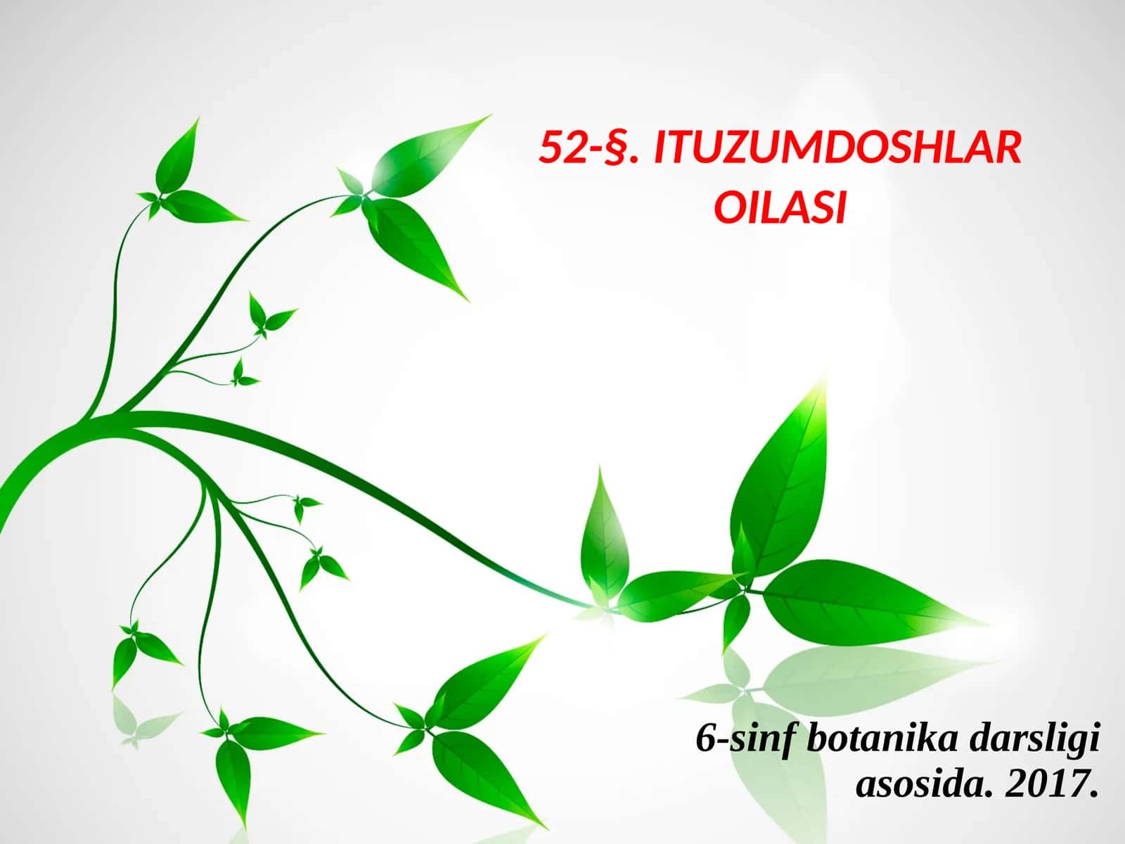 6-sinf Botanika dars ishlanma. Ituzumdoshlar oilasi 1