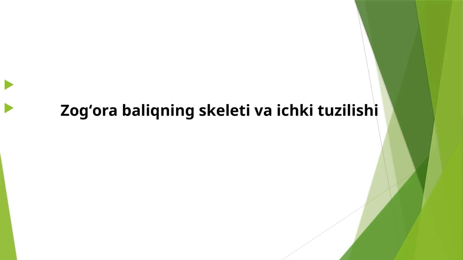 Zogʻorabaliqnings keleti va ichki tuzilishi 1