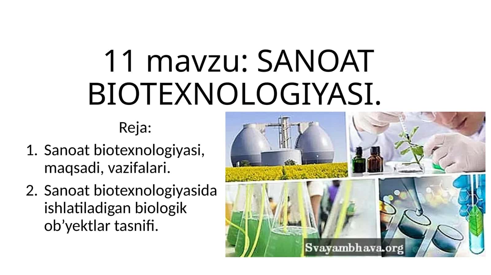 Sanoat biotexnologiyasi 1