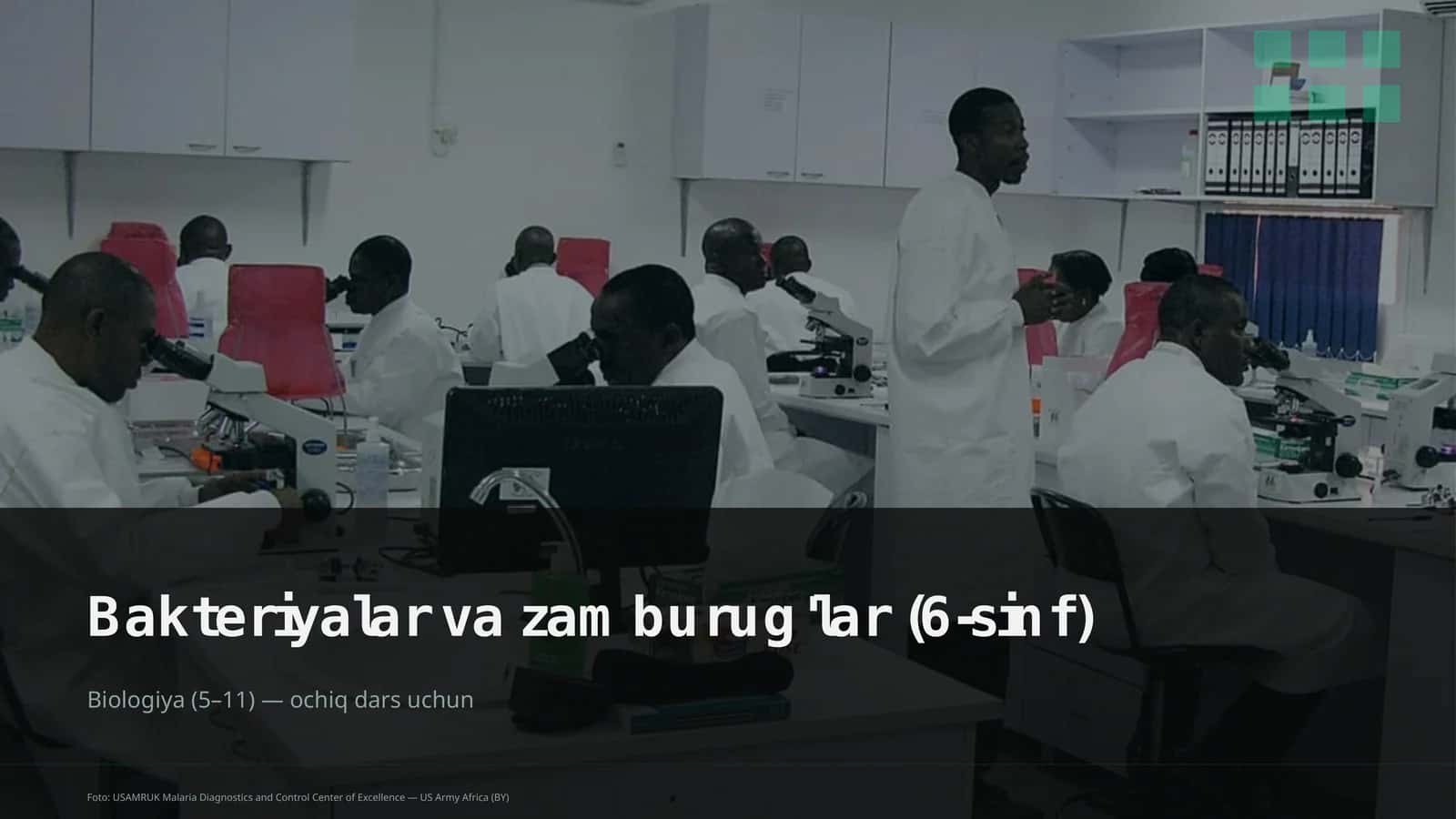 Bakteriyalar va zamburug'lar (6-sinf) 1