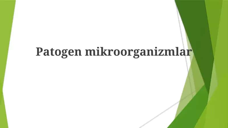 Patogenmikroorganizmlar 1