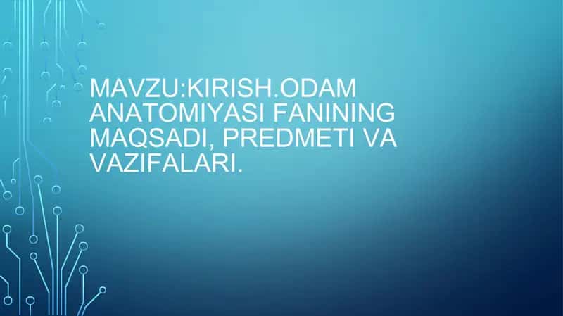 Odam anatomiysi 1