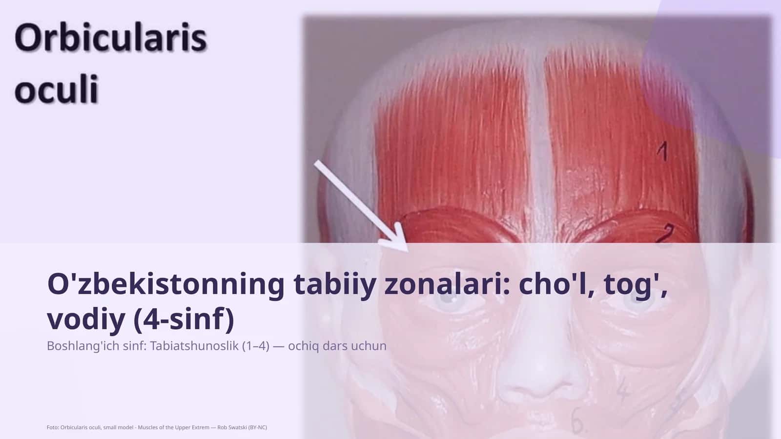 O'zbekistonning tabiiy zonalari: cho'l, tog', vodiy (4-sinf) 1