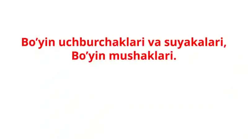 Bo’yin uchburchaklari va suyakalari, Bo’yin mushaklari. 1