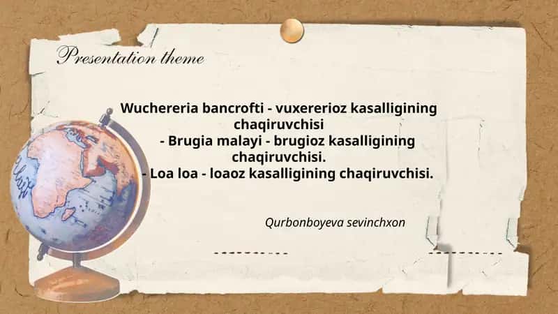 Wuchereria bancrofti - vuxererioz kasalligining chaqiruvchisi 1