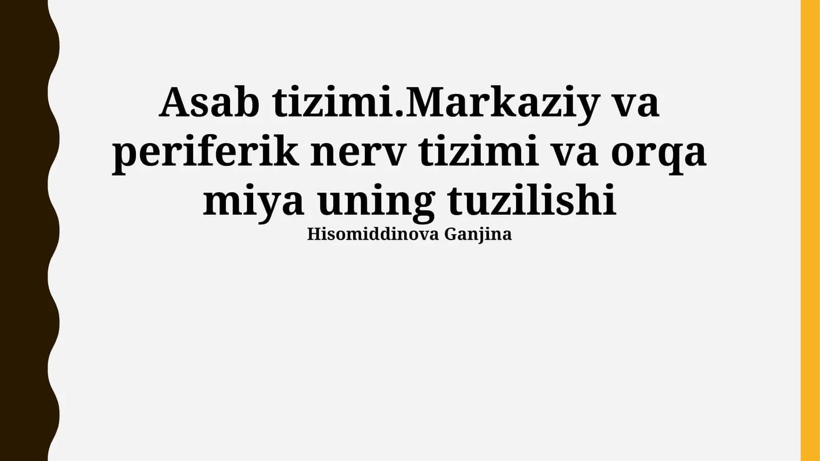 Asab tizimi.Markaziy va periferik nerv tizimi va orqa miya uning tuzilishi 1
