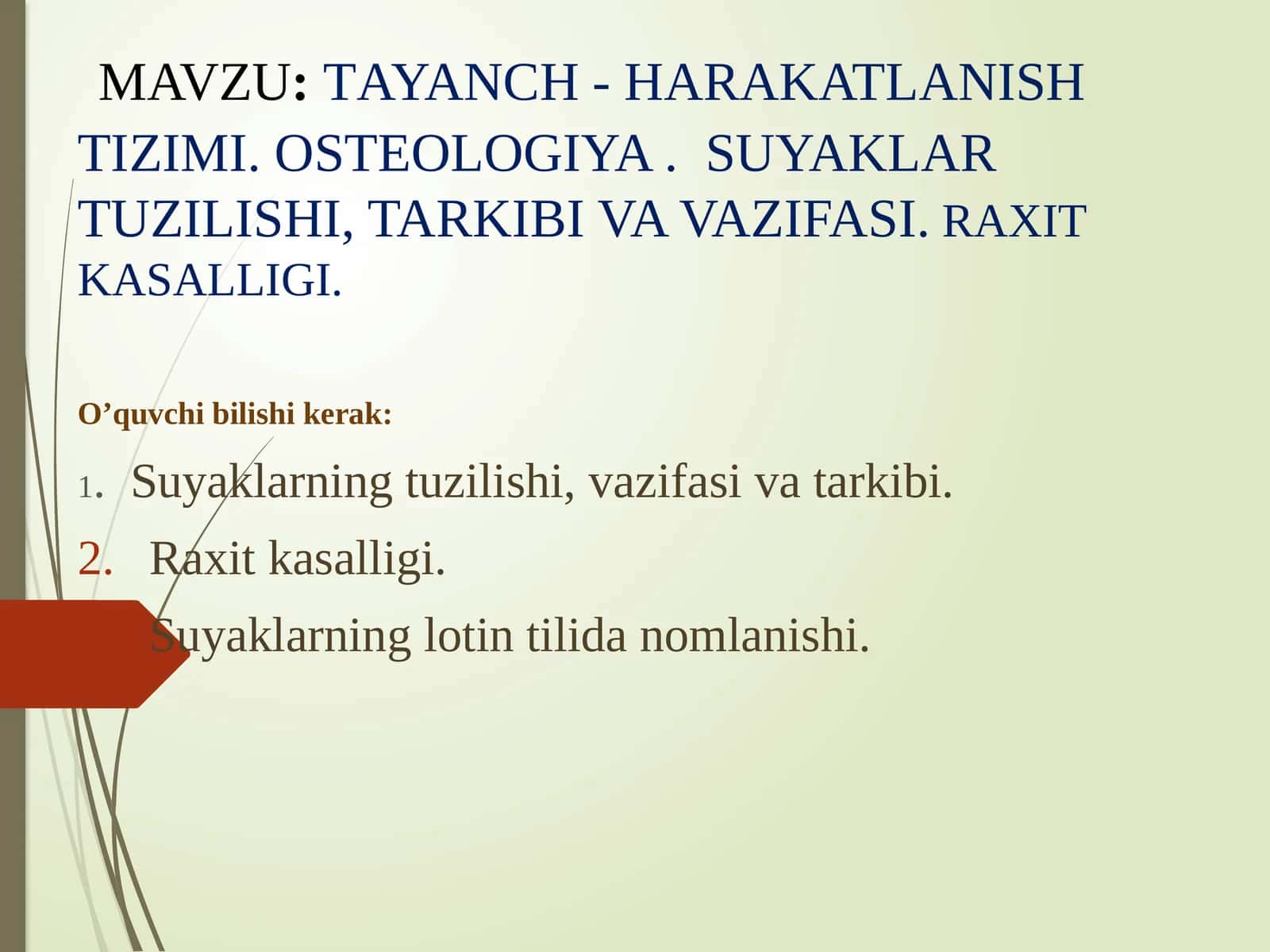 Tayanch-harakatlanishtizimi 1