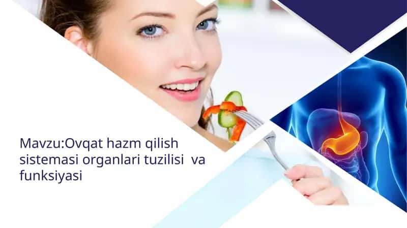 OVQAT HAZM QILISH SISTEMASI VA VAZIFALARI 1