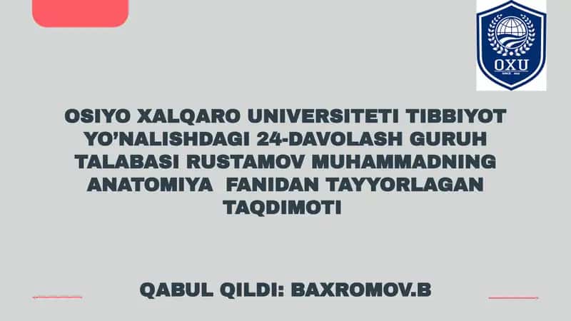 bosh miya pardalarining vena bo'shliqlari va sisternalari.Likvor suyuqligi 1