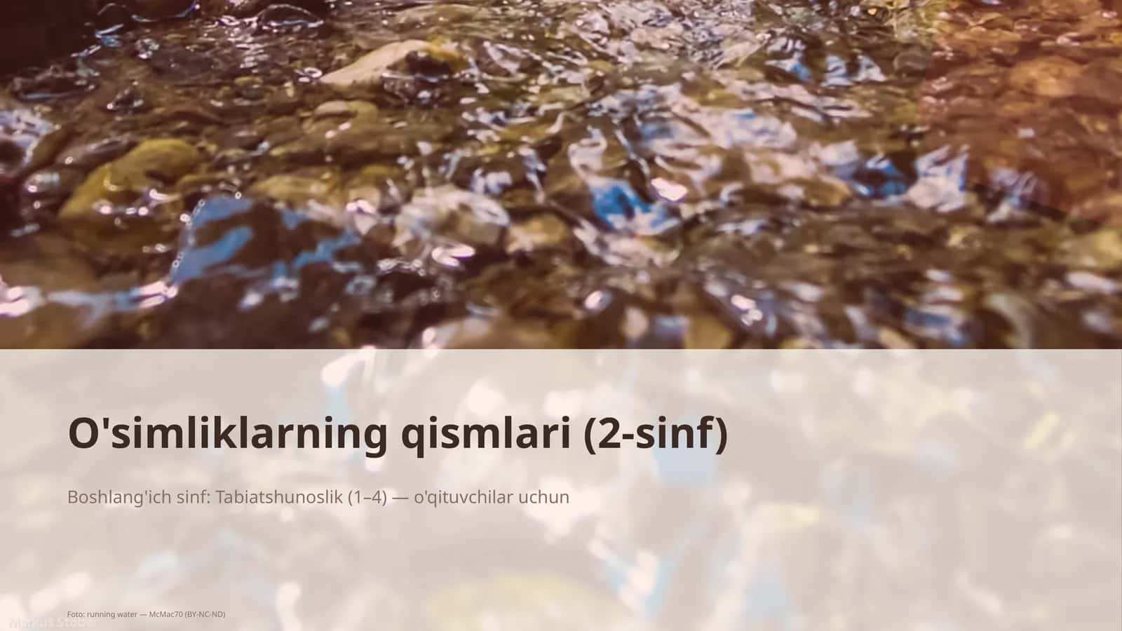 O'simliklarning qismlari (2-sinf) 1