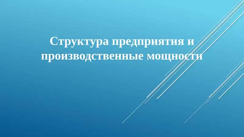 Организационная структура предприятия 1